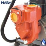 EQ RIEGO AUTOCEBANTE 6.5HP 2X2 - Image 2