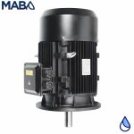 Motor eléctrico eficiencia PREMIUM (IE3), ALTAMIRA, serie MAPT2P, 50 HP, 3 fases, 220 / 440 Volts