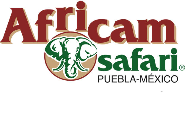 africam-logo